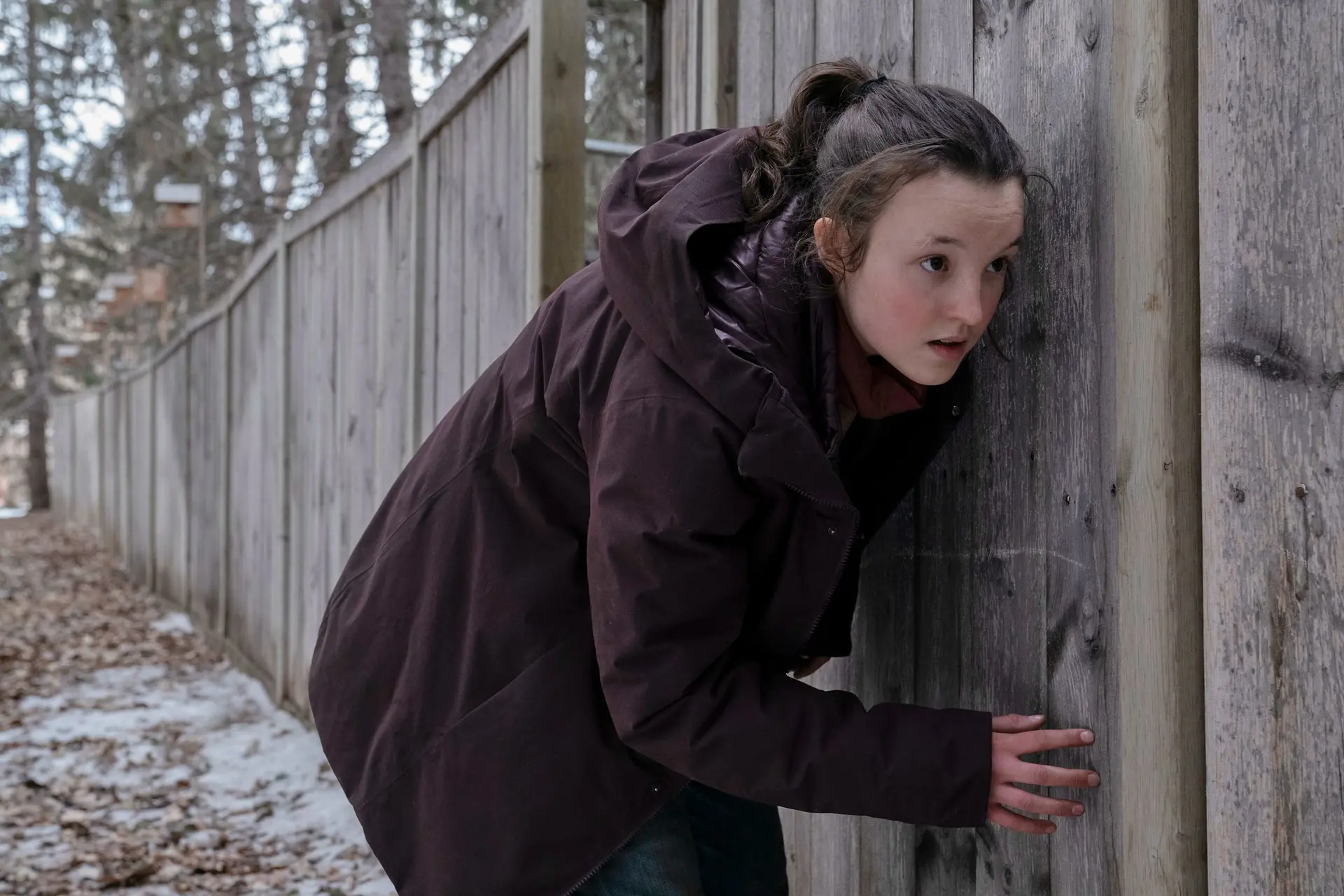 HBO Max deelt nieuwe teaser én releasedatum van tweede seizoen hitserie 'The Last of Us'