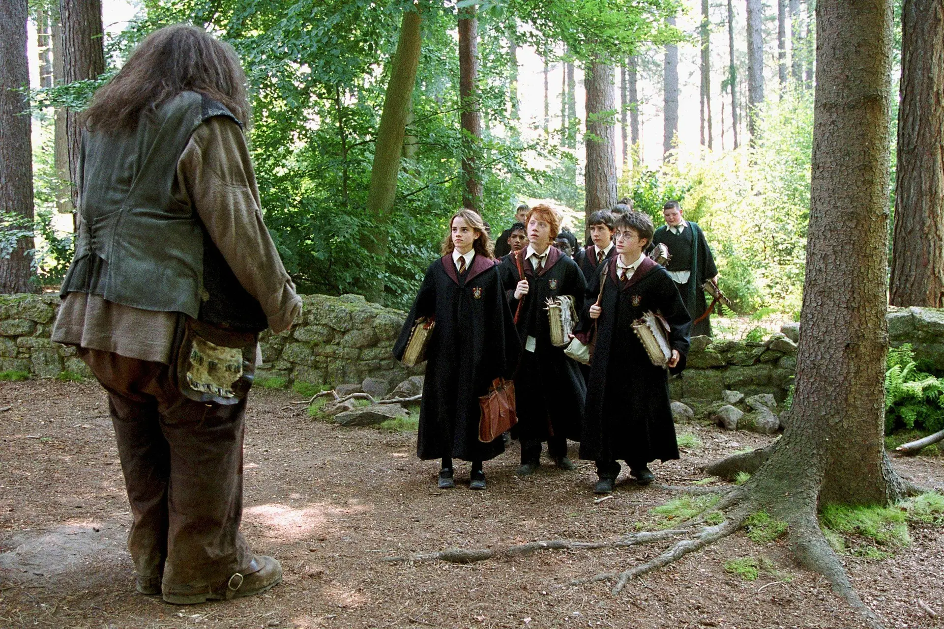 Deze Britse acteur is dichtbij voor de rol van Hagrid in de nieuwe Harry Potter-serie