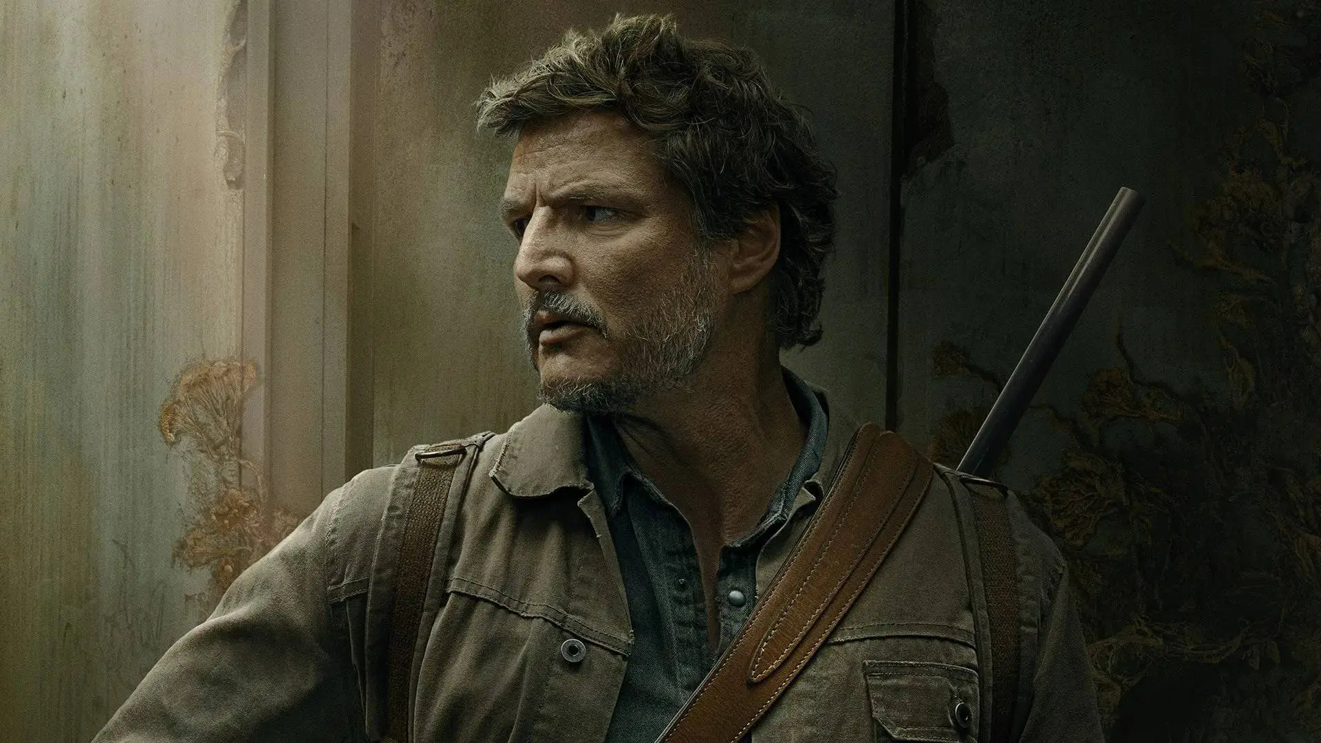 HBO-hitserie 'The Last of Us' officieel verlengd met een derde seizoen