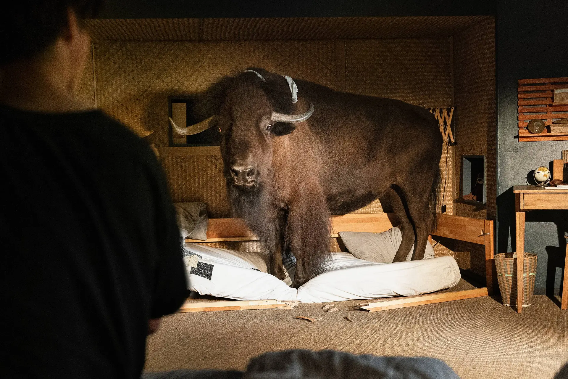 Nieuwe fantasyfilm gebaseerd op de boeken van Katja Brandis komt naar Netflix