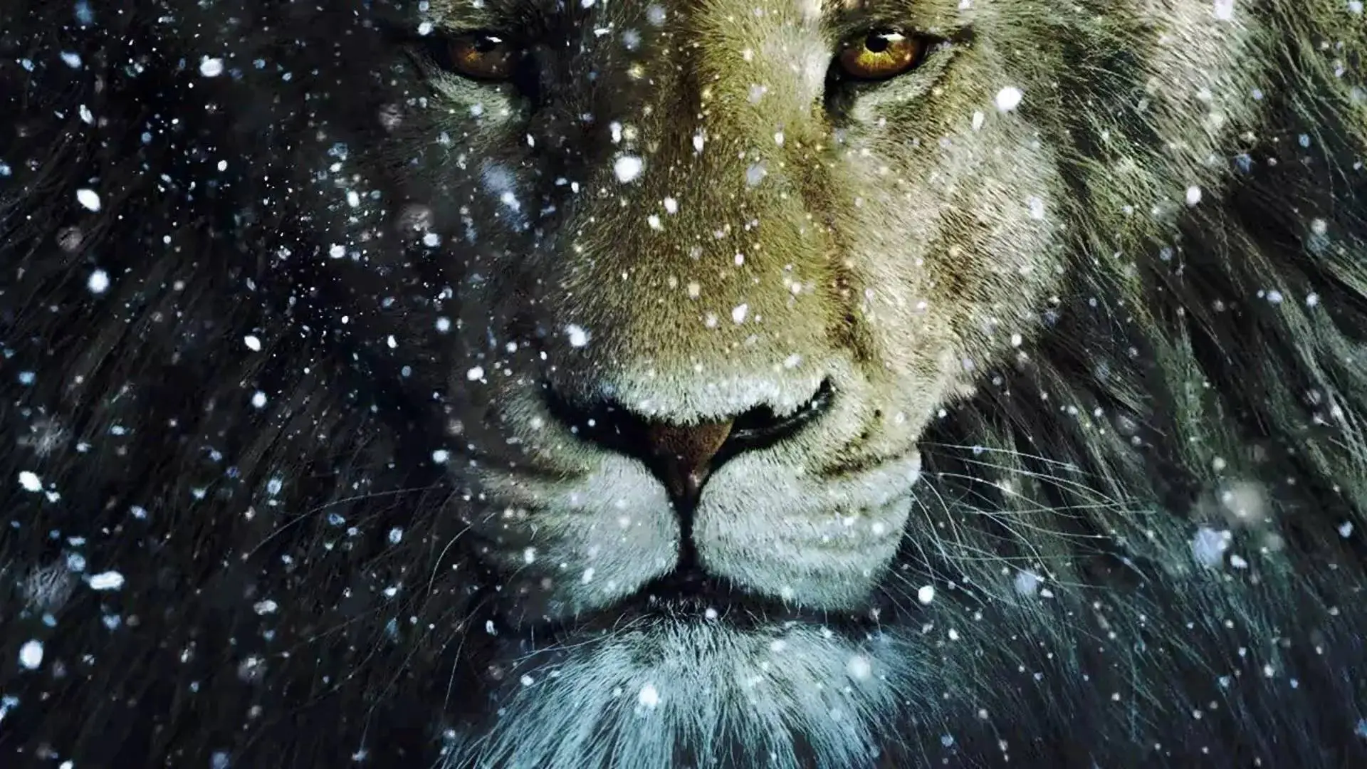Opnames voor nieuwe Narnia-film 'The Prince Nephew' gaan binnenkort van start