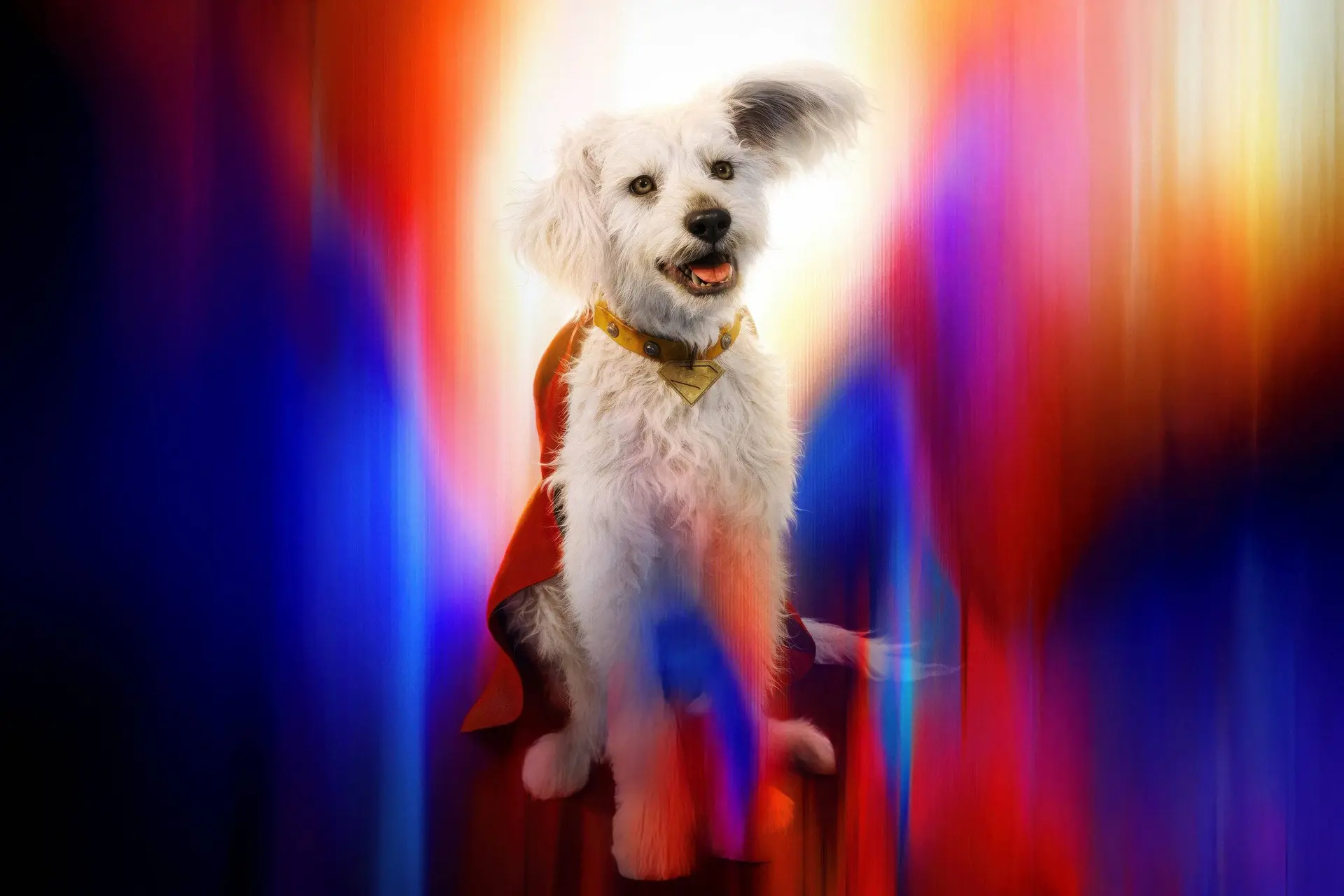 Krypto zorgt voor explosieve stijging in adopties van honden na nieuwe 'Superman'-film