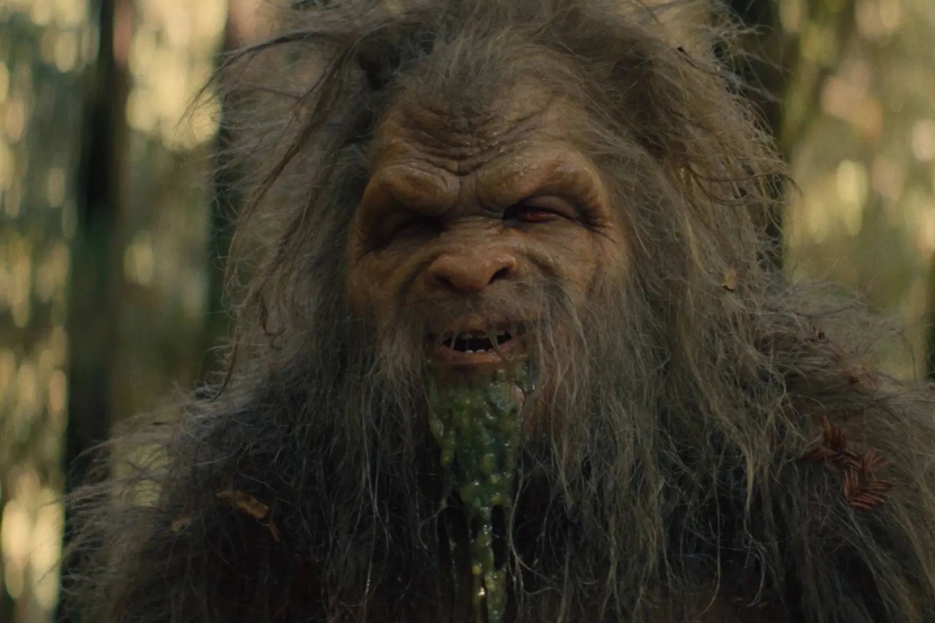 Recensie: 'Sasquatch Sunset' – vreemd, grotesk, absurd en onmiskenbaar uniek