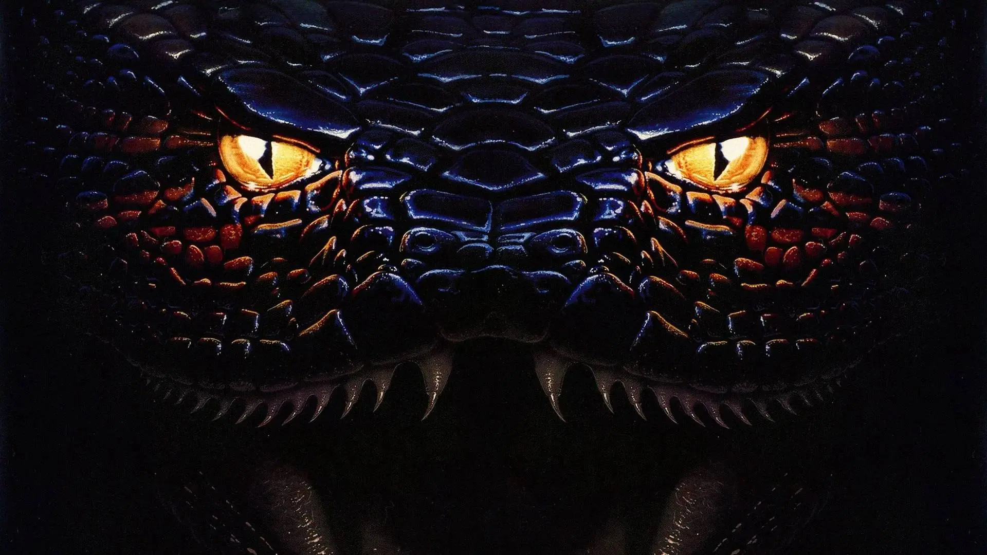 Jack Black en Paul Rudd trekken door de Amazone in eerste blik op nieuwe 'Anaconda'-film