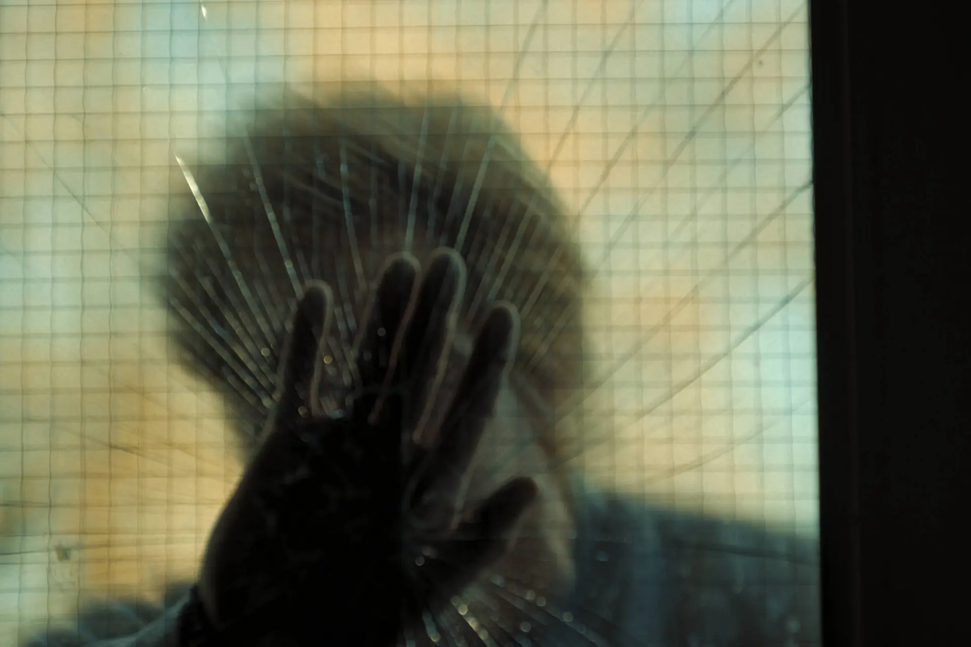 Netflix-kijkers sterk verdeeld over gloednieuwe horrorserie: "gebrek aan sfeer!"