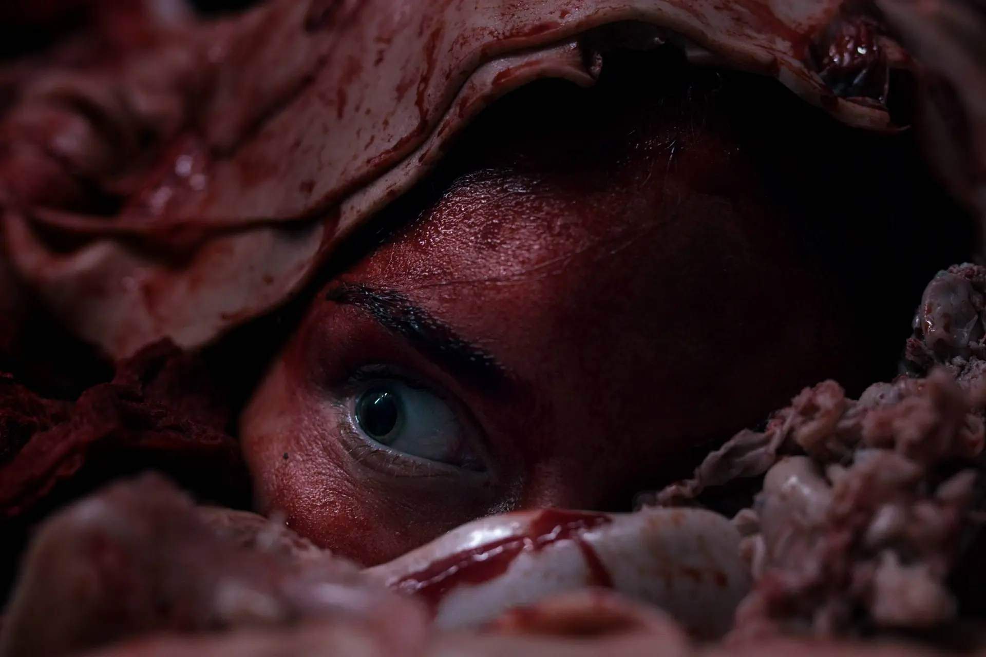 Nieuwe, extreem gewelddadige Nederlandse horrorfilm vanaf vandaag te streamen