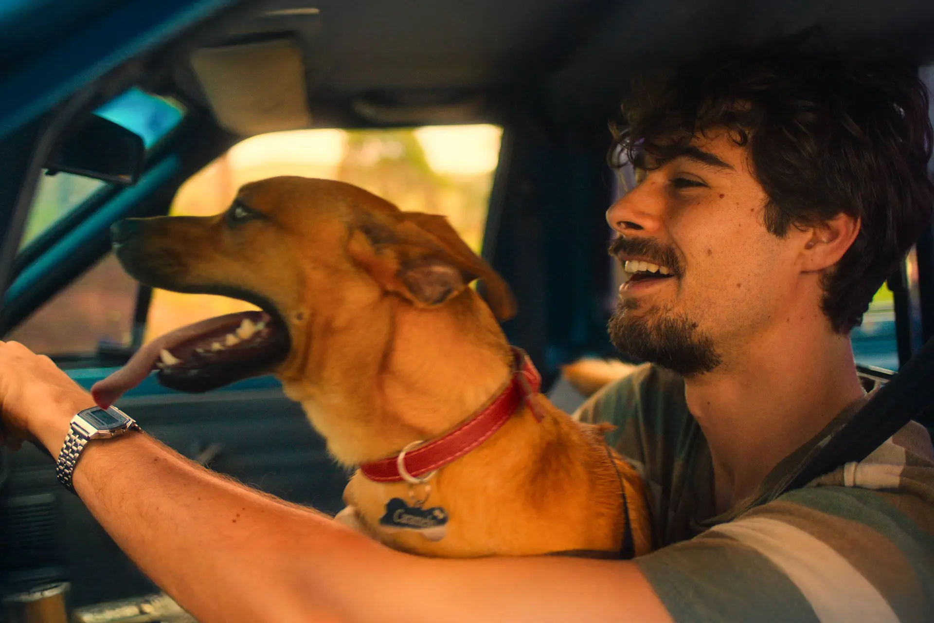 Nieuwe hondenfilm laat Netflix-kijkers met een brok in de keel achter: "een emotionele reis!"
