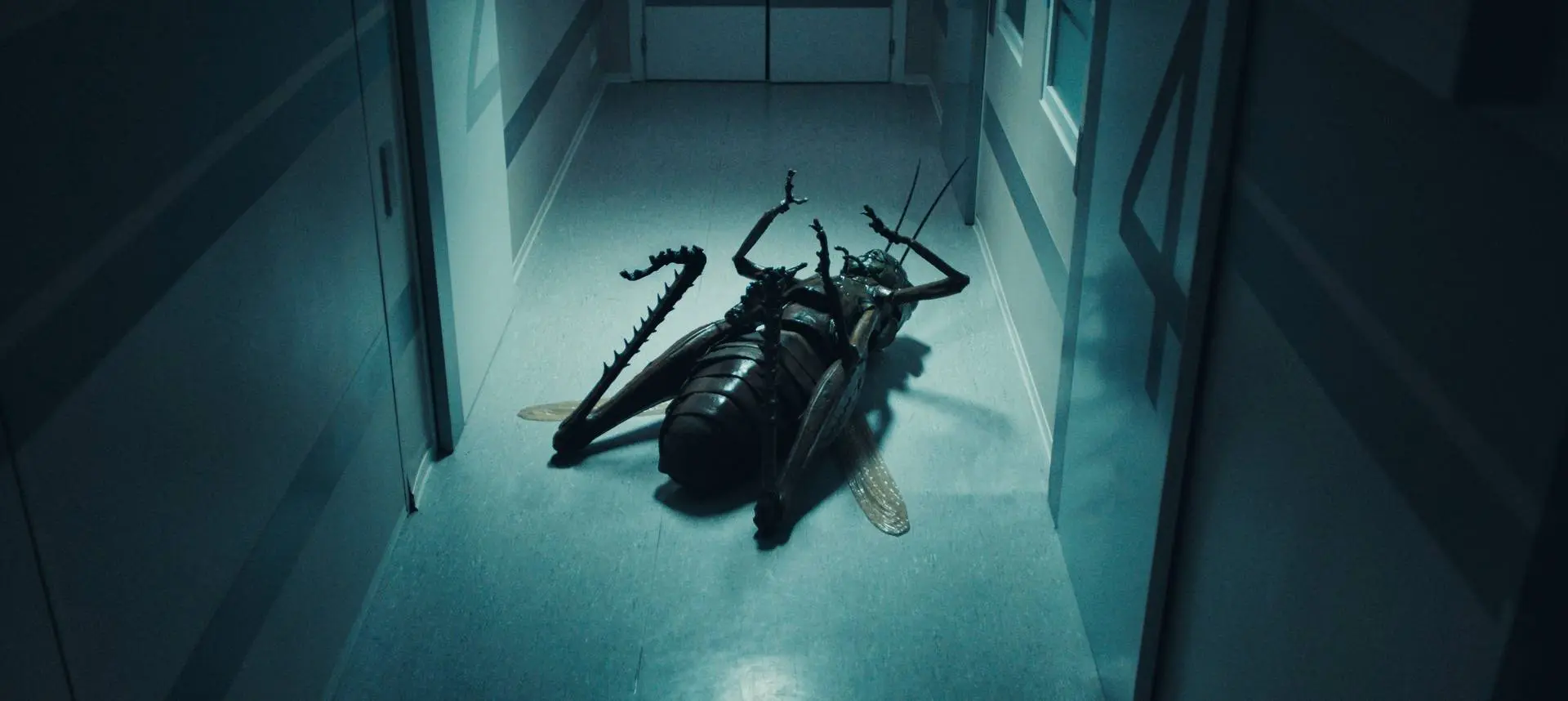 Absurde sciencefictionfilm 'The Kiss of the Grasshopper' vanaf deze week te zien