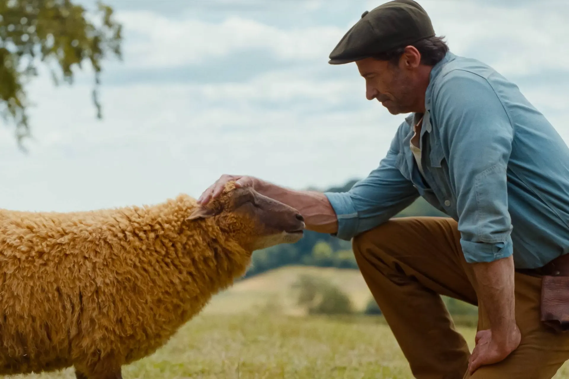 Kudde schapen lost een moord op in de officiële trailer van 'The Sheep Detectives'