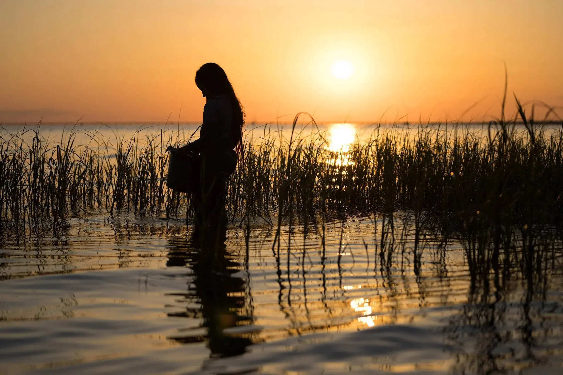 Nieuwe Netflix-film van 'Where the Crawdads Sing'-regisseur binnenkort te zien
