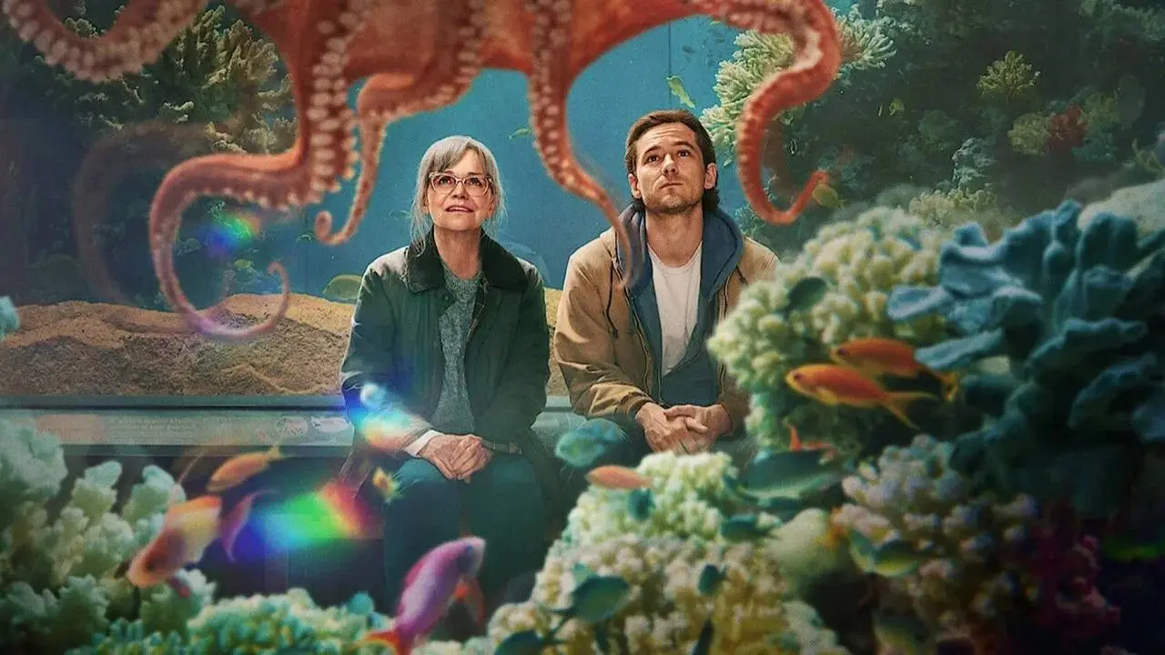 'Remarkably Bright Creatures'-maker werkt aan verfilming van Nederlandse roman