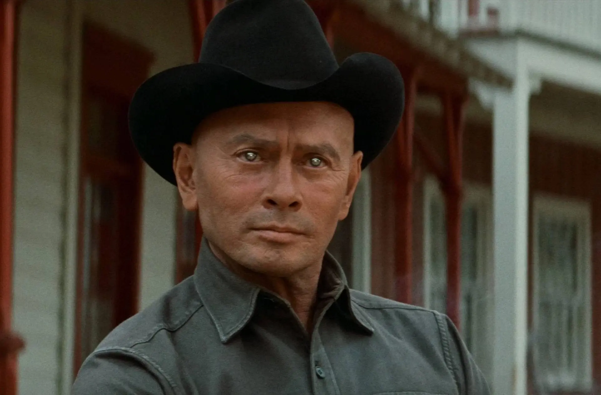 Warner Bros. en David Koepp werken aan nieuwe 'Westworld'-bioscoopfilm
