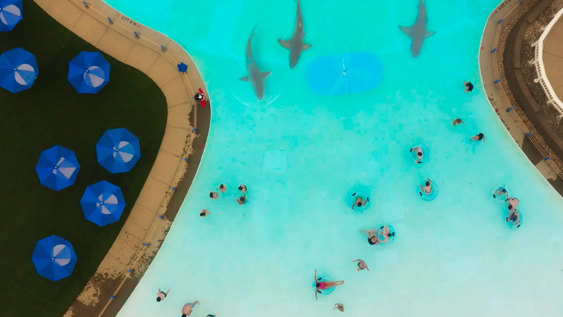 'Sharknado'-regisseur keert terug met nieuwe krankzinnige haaienfilm