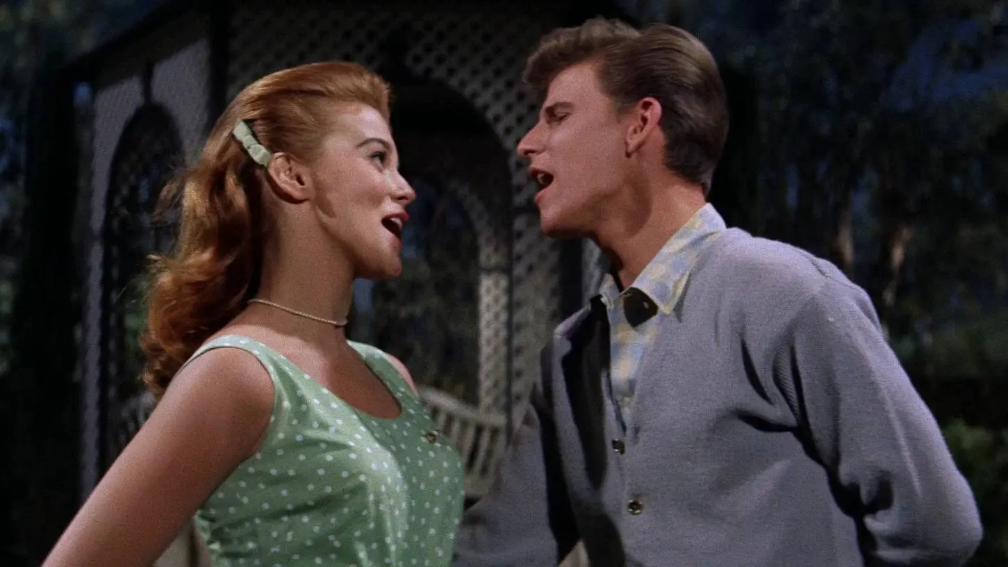 Iconische '60s-klassieker met Dick Van Dyke nu te streamen op Netflix
