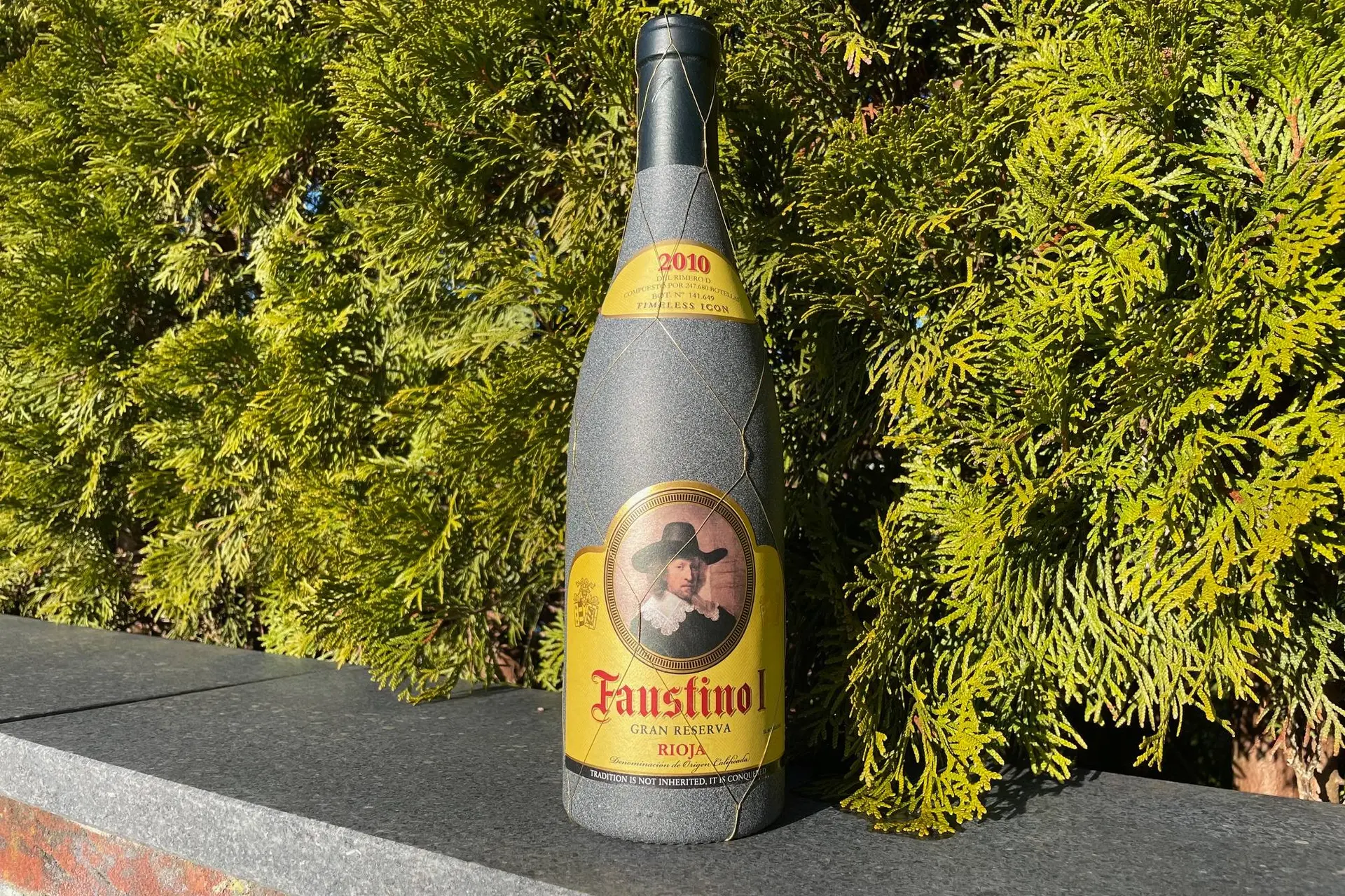 Faustino I Gran Reserva 2010: Een luxe wijn voor op tafel