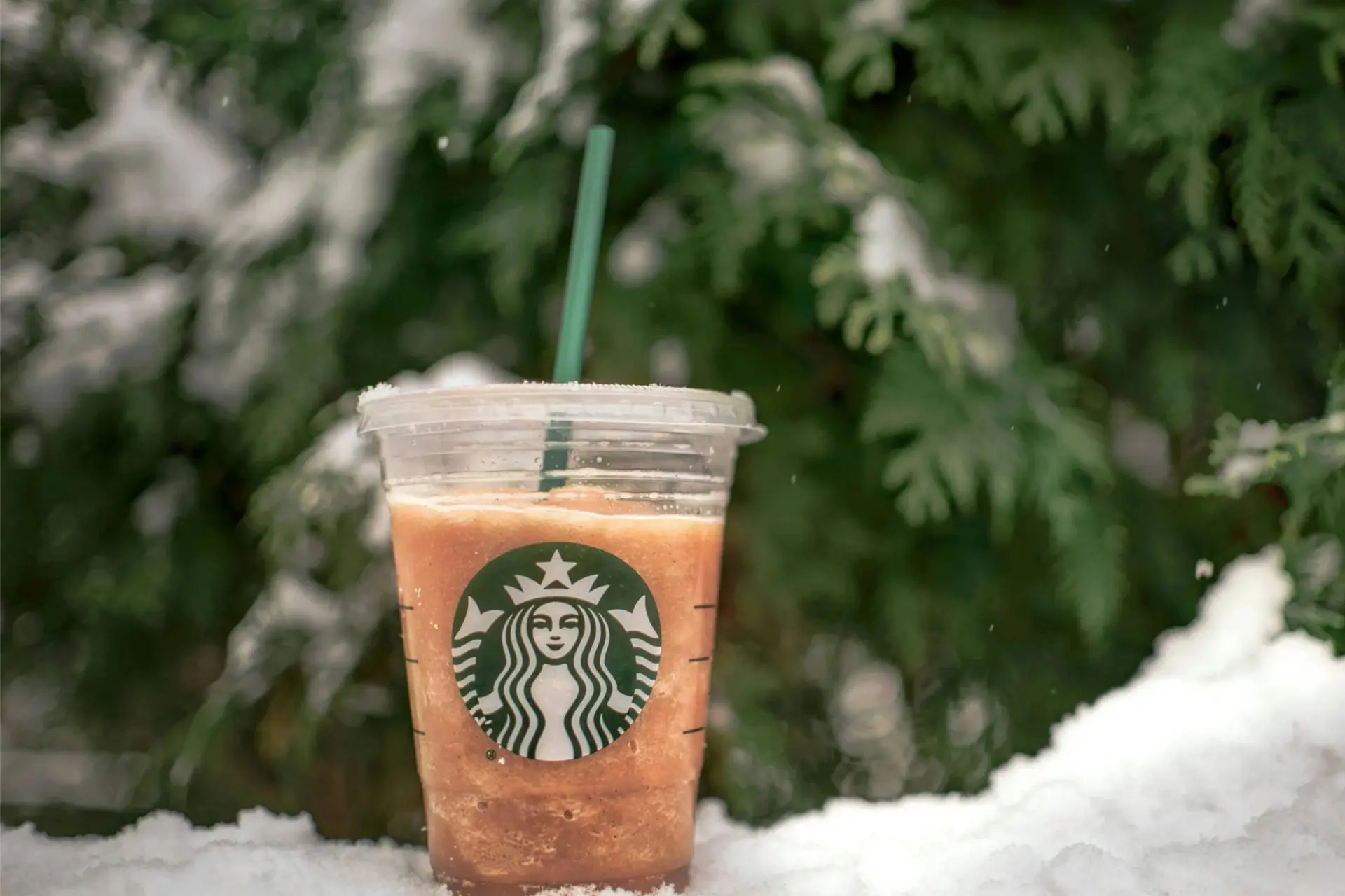 Waarom is Starbucks koffie zo populair?