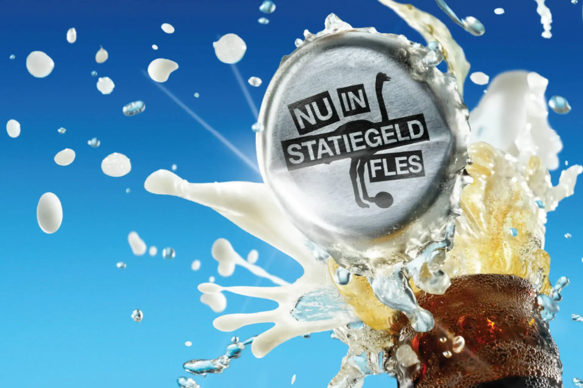 brouwerij t ij statiegeldjpg