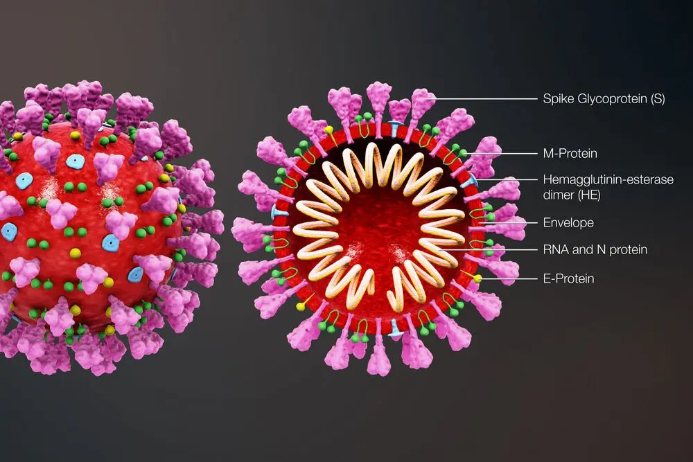 coronavirus 2020