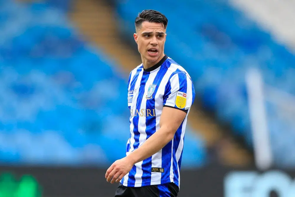 joey pelupessy sheffield wednesday