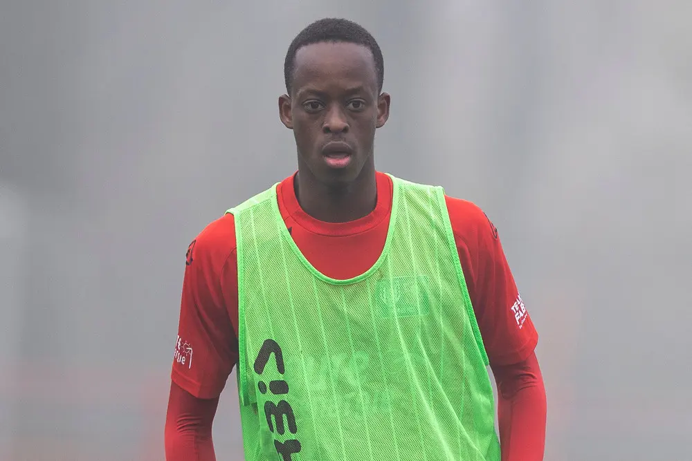 michel driezen fc twente heracles academie 2021