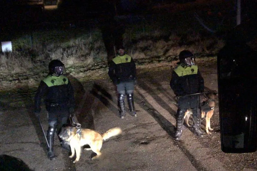 politie politiehonden roda jc fc twente 2019