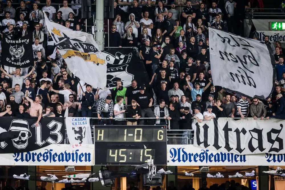 rosenborg bk supporters fans ultras