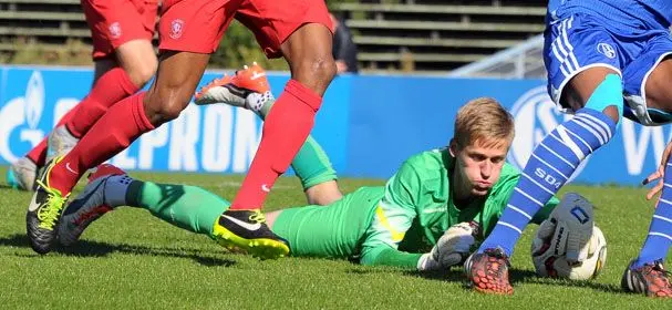 timo plattel twente