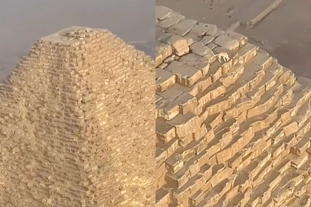 Hond gespot bovenop piramide in Egypte