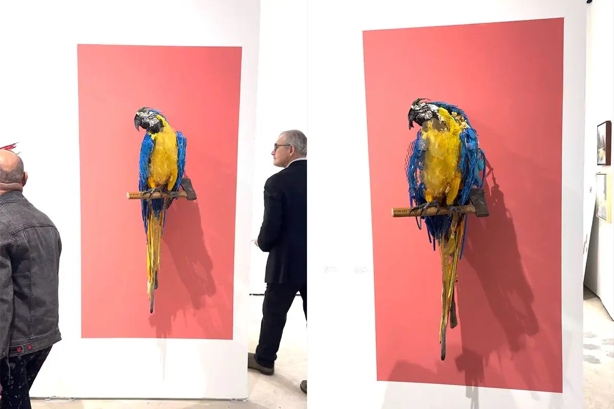 Coole papegaai kunst op Art Basel in Miami