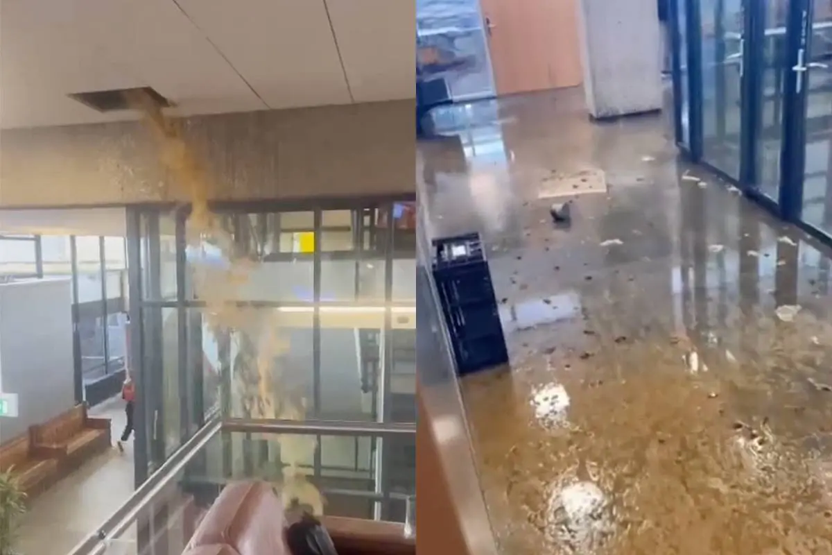 Poeptsunami op TU Delft: beelden viraal van ranzige overstroming door gesprongen riool