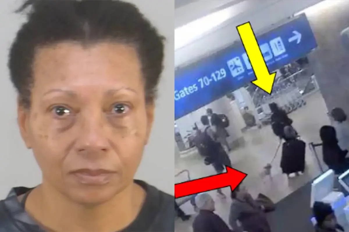 Hond geweigerd bij gate, vrouw verdronk het dier op toilet Orlando Airport