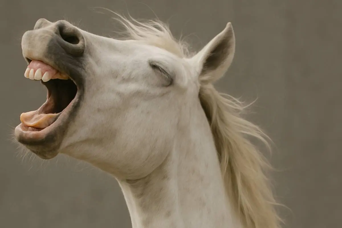 Hinkend paard is sample waar je niet meer van af komt