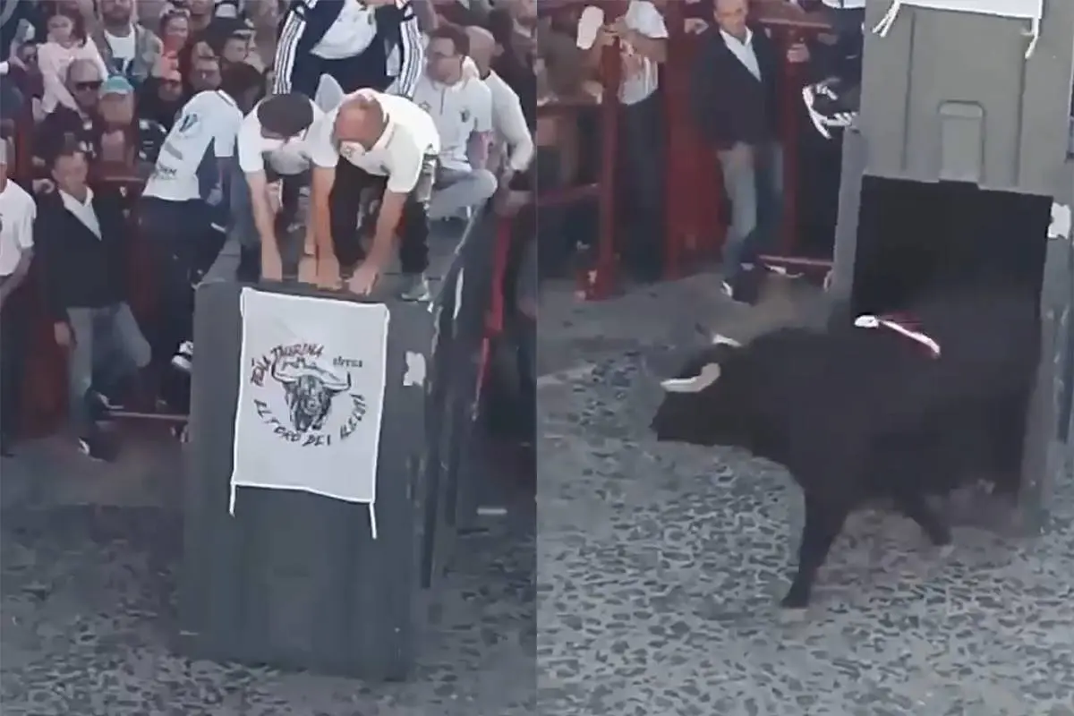 Stier breekt door hek tijdens stierenrennen in Spanje