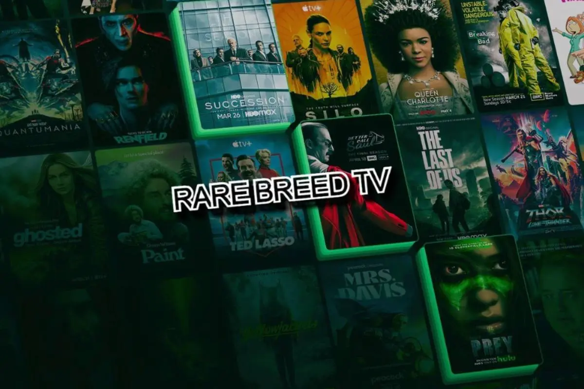 ACE haalt gigantische IPTV-dienst offline
