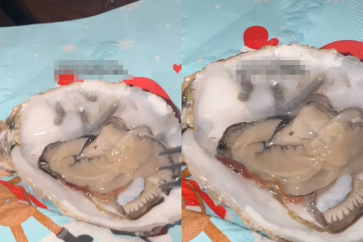 Je denkt lekker een oester te eten met kerst, tot er ineens een worm uit kruipt