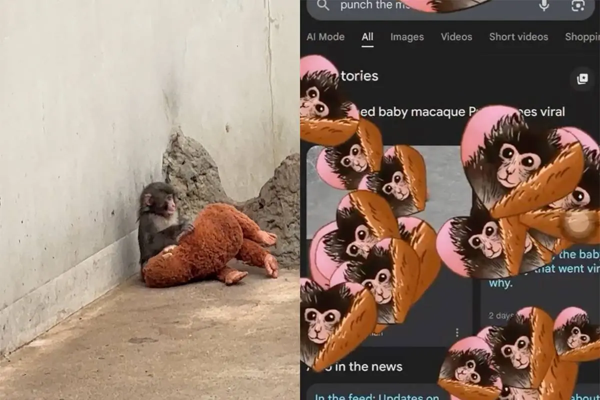 Google laat miljoenen hartjes regenen bij zoekterm “Punch the Monkey”