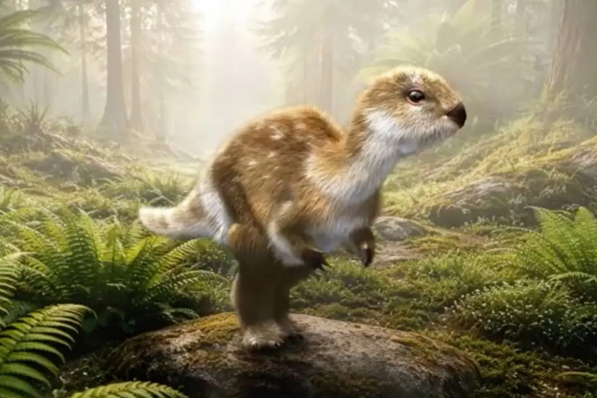 We hebben er een nieuwe dinosaurus bij: doolysaurus huhmini