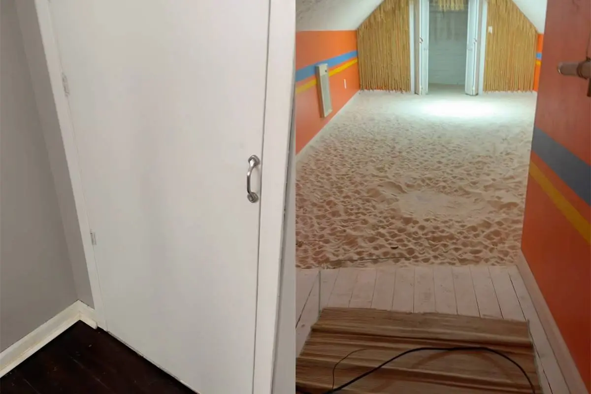 Nieuwe bewoner vindt strand-zandkamer en dat doet ergens aan denken