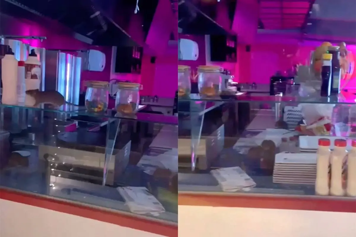 En weer heeft een restaurant in Amsterdam last van ratten