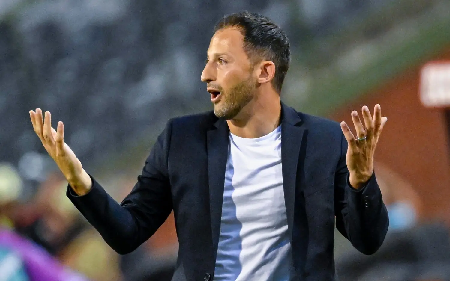 230717domenicotedesco