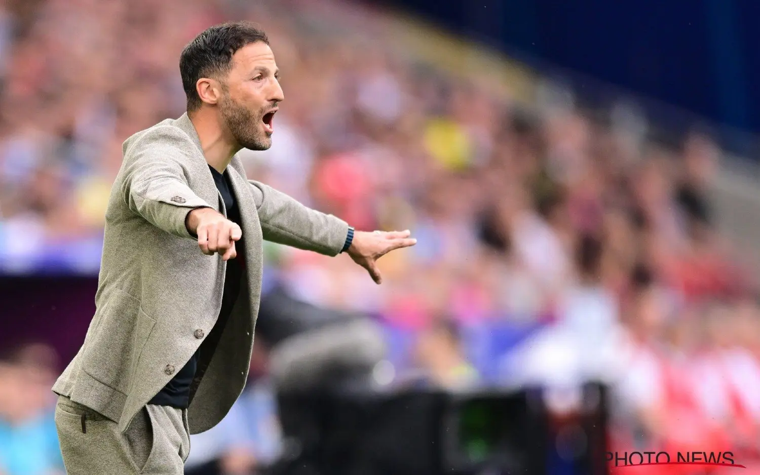 240627domenicotedesco2
