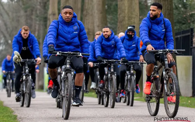 bergwijnstjuste