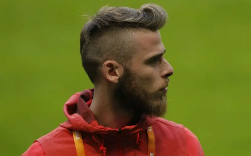 degea
