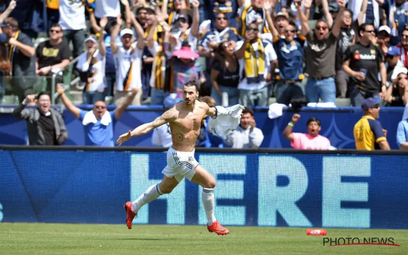 ibrahimovic 8