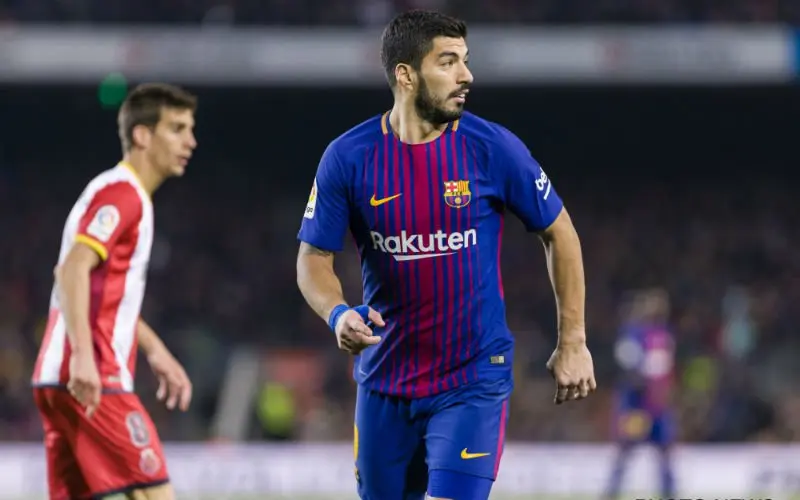 suarez 8