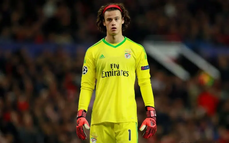 svilar 7