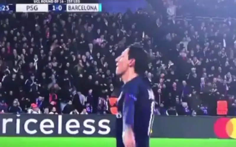 video 33