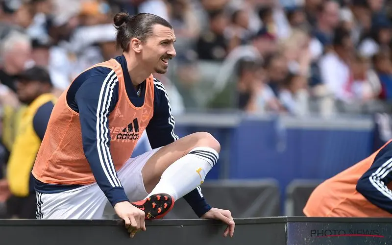 zlatanzwedenibrahimovic5