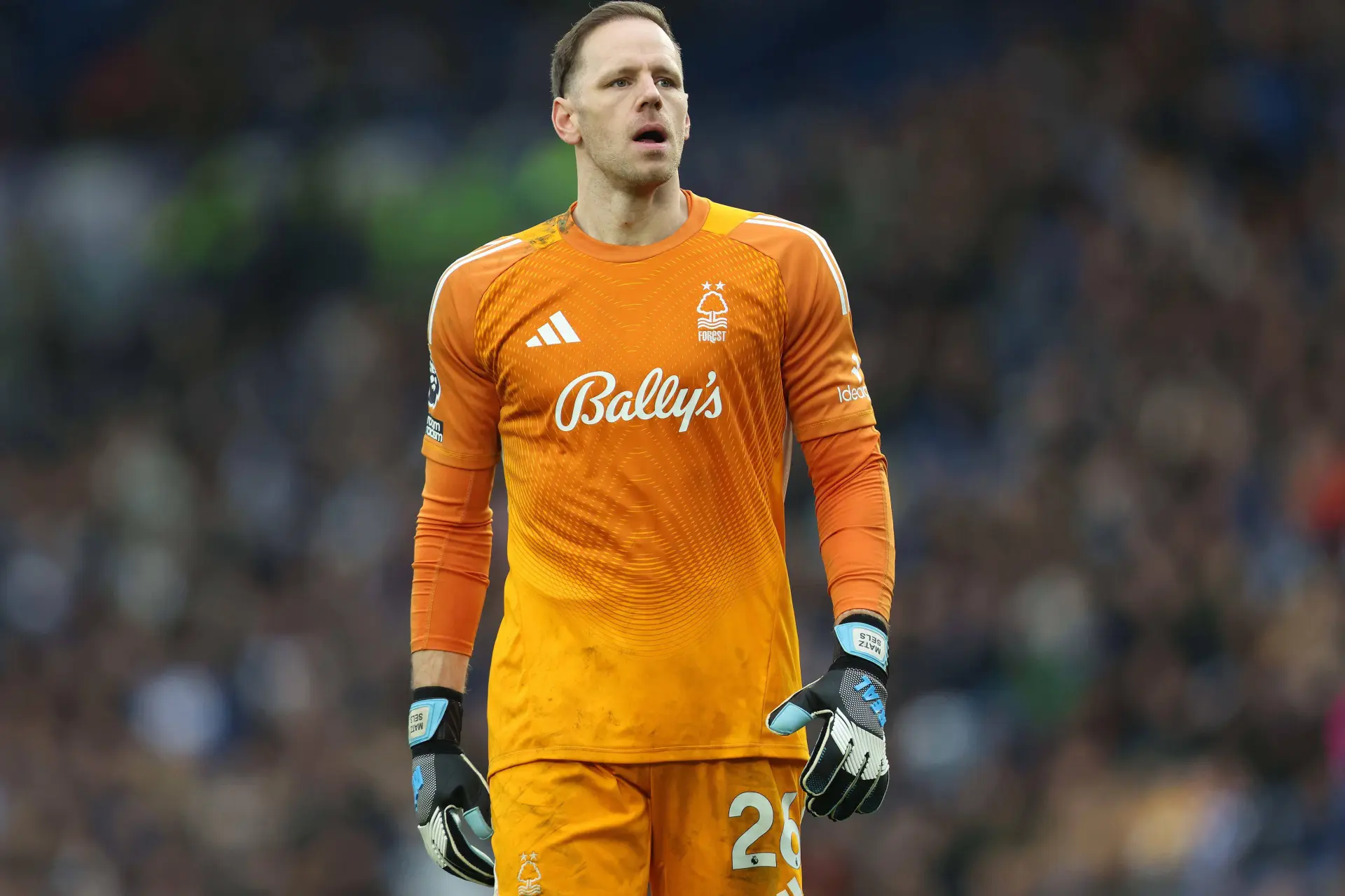 Matz Sels