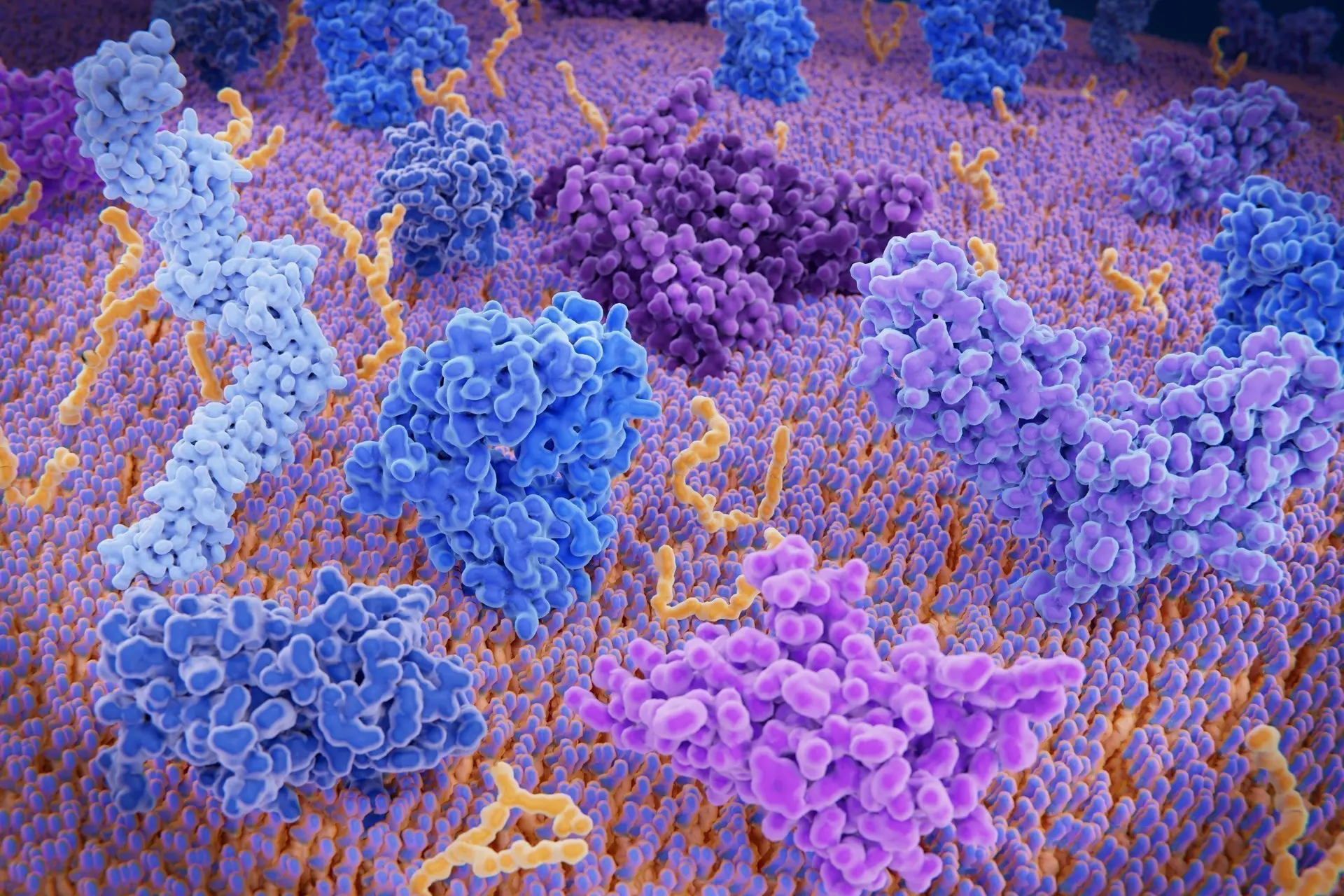 Kanker blijft belangrijkste doodsoorzaak, veel minder coronadoden